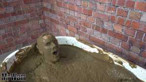 paddy-enjoys-a-mud-bath_14.jpg