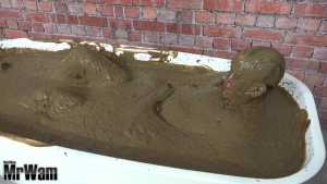 paddy-enjoys-a-mud-bath_18.jpg
