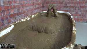 paddy-enjoys-a-mud-bath_22.jpg